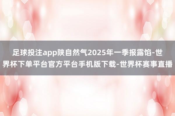 足球投注app陕自然气2025年一季报露馅-世界杯下单平台官方平台手机版下载-世界杯赛事直播