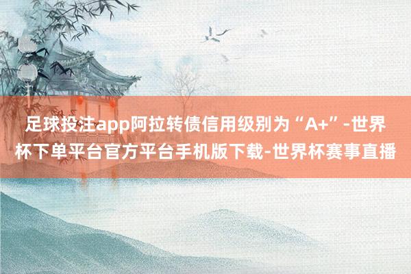 足球投注app阿拉转债信用级别为“A+”-世界杯下单平台官方平台手机版下载-世界杯赛事直播