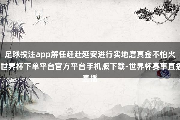 足球投注app解任赶赴延安进行实地磨真金不怕火-世界杯下单平台官方平台手机版下载-世界杯赛事直播